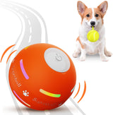 Interactive Dog Ball 2