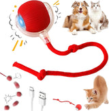 Interactive Dog Ball 4