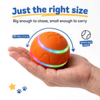 BorkBall Disco 80mm interactive dog ball held in one palm, slightly bigger than a tennis ball