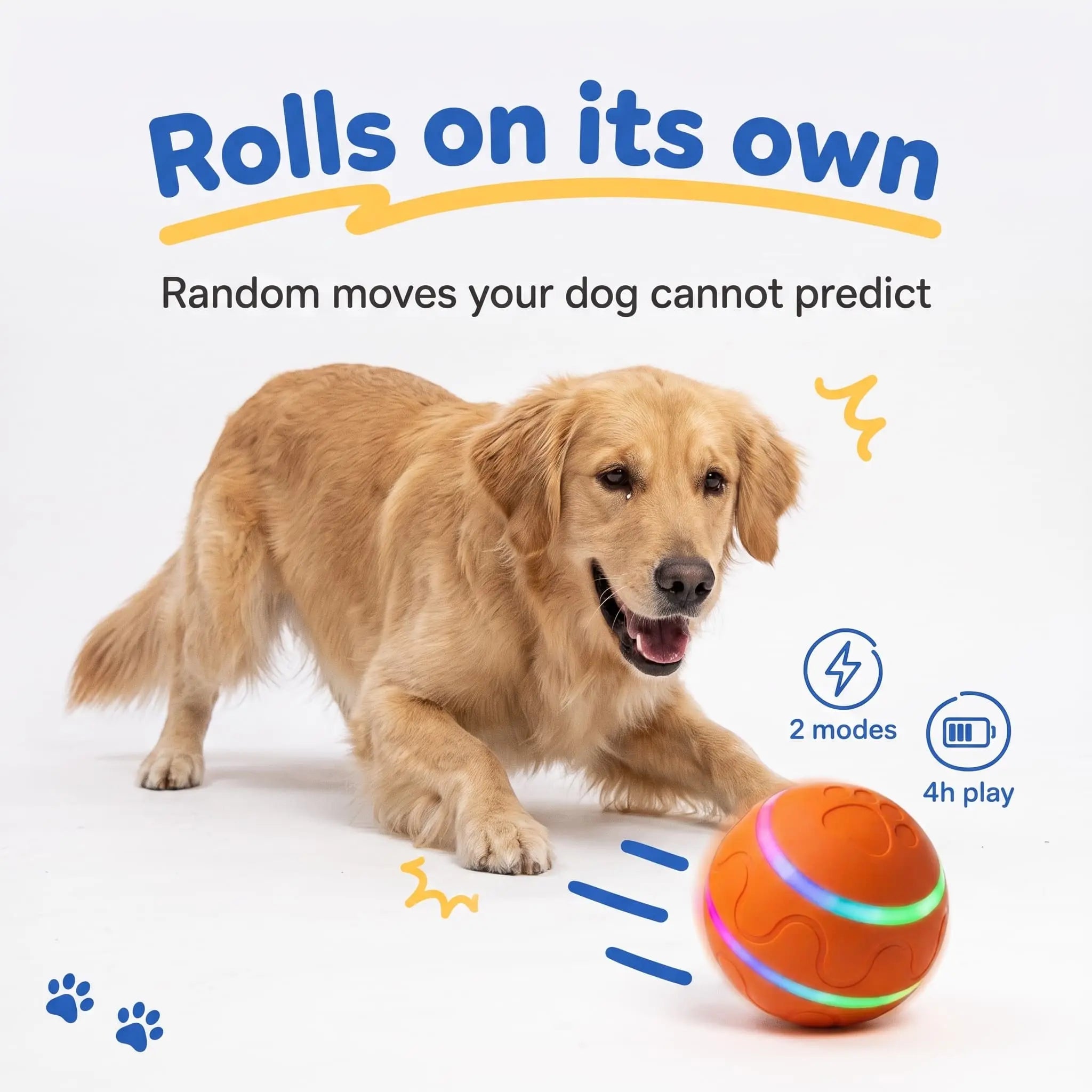 Golden Retriever chasing the BorkBall Disco self rolling dog ball across a white studio floor
