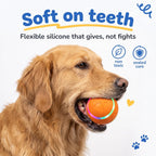 BorkBall Disco soft silicone dog ball carried gently in a Golden Retriever mouth, safe on teeth