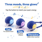 Three BorkBall Nub balls glowing blue, purple and yellow for fast, slow and interactive play