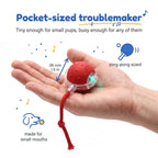 BorkBall Nub 38mm mini dog ball resting in an open palm, small as a ping pong ball