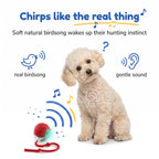 Curious Poodle head tilting at the BorkBall Nub bird chirping dog toy on the floor