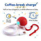BorkBall Nub fast charging pet toy beside its USB cable, thirty minutes for four hours of play