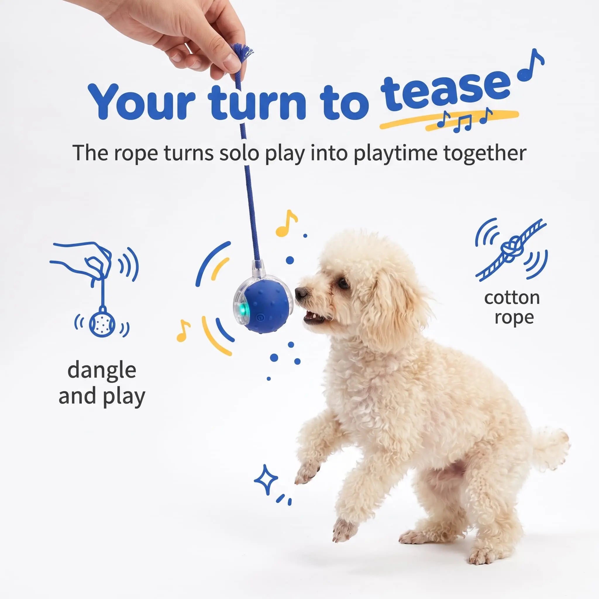 Hand dangling the BorkBall Nub by its rope as a teaser toy while a small Poodle reaches up