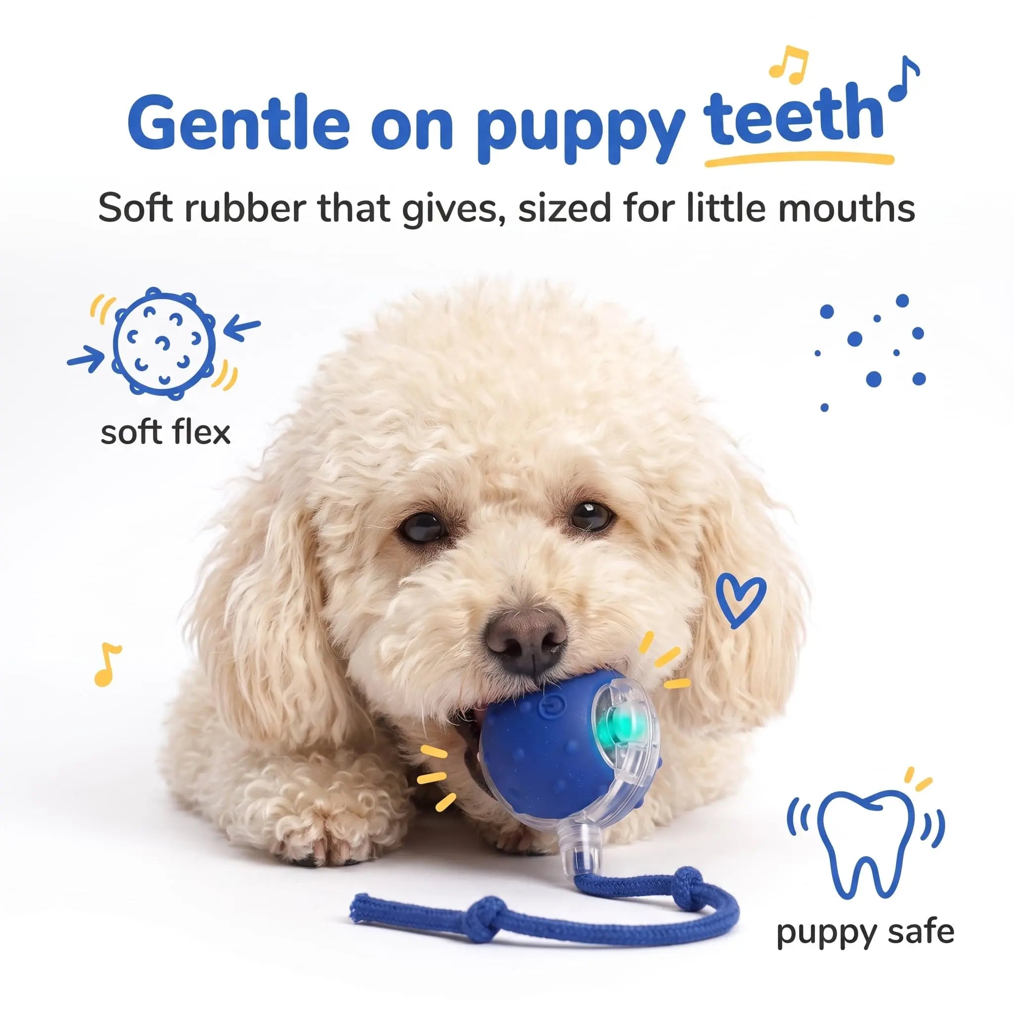 Small Poodle gently holding the soft BorkBall Nub sized for little mouths and puppy teeth