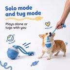 BorkBall Tug playing by itself on the left and a Corgi playing tug of war with its owner on the right